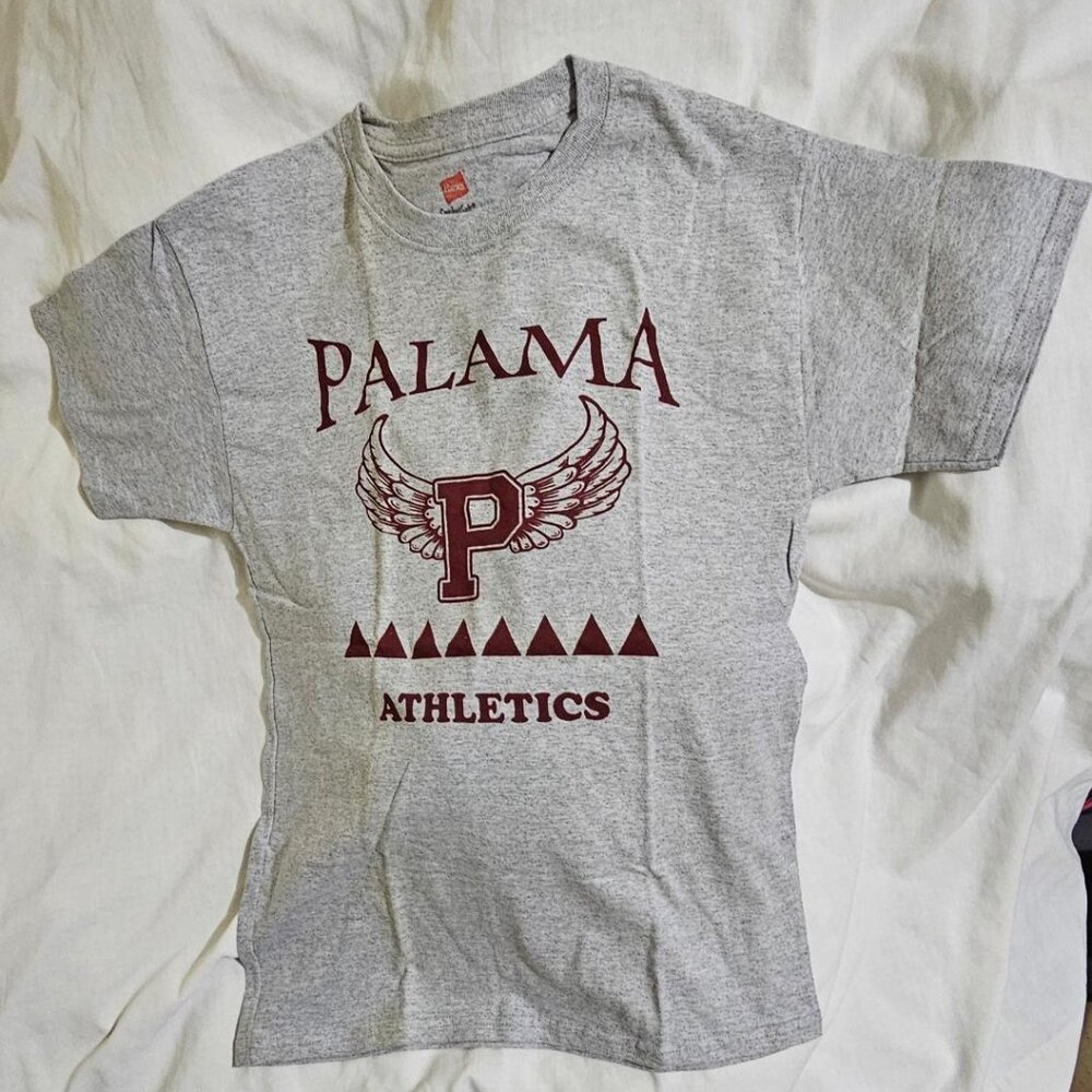 Hanes Gray Shirt